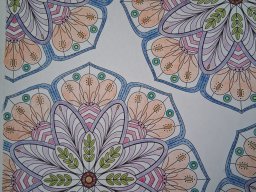 whatsapp image 2026-01-12 at 11.35.37